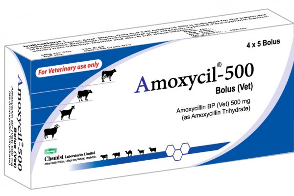 Amoxycil-500 Bolus