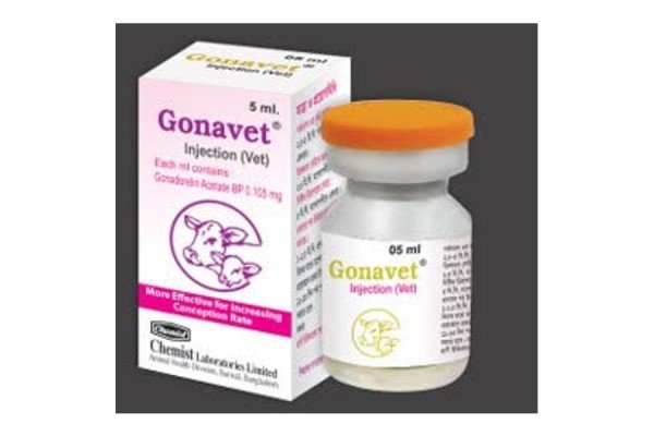 Gonavet Injection