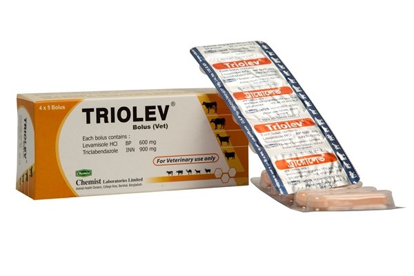 Triolev Bolus