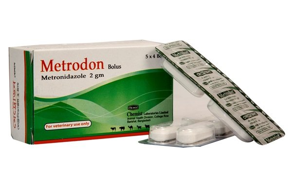 Metrodon Bolus
