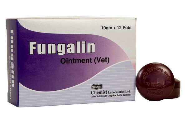 Fungalin Pot.