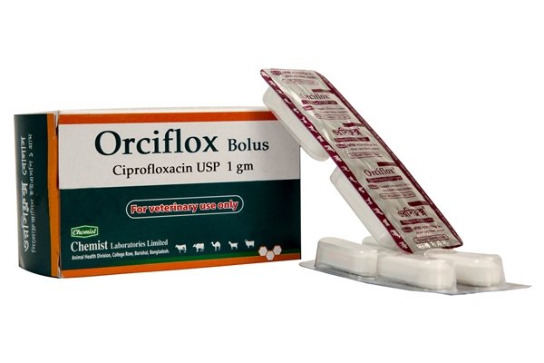 Orciflox Bolus