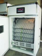 Egg Incubator and Hatcher